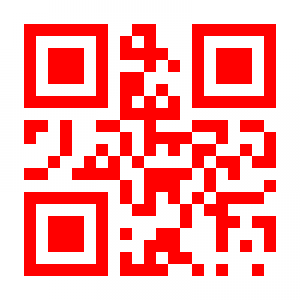 Custom QR